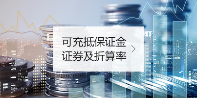 可充抵保证金证券及折算率